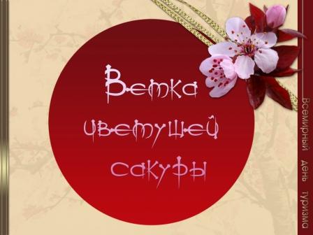 Ветка цветущей сакуры